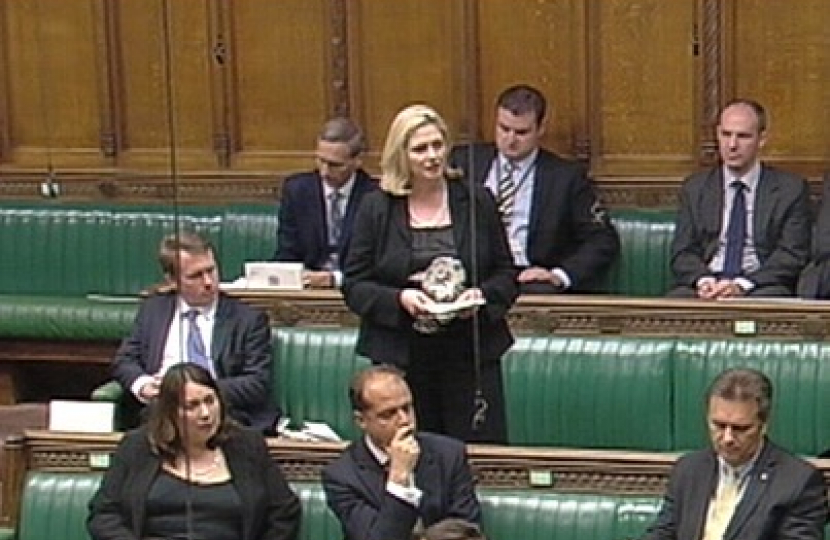 Speaking in Parliament